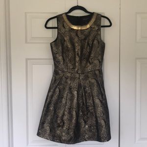 Black and gold cocktail dress